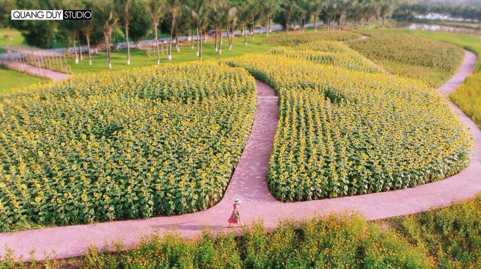 Sue Homestay Ecopark Hung Yen ภายนอก รูปภาพ