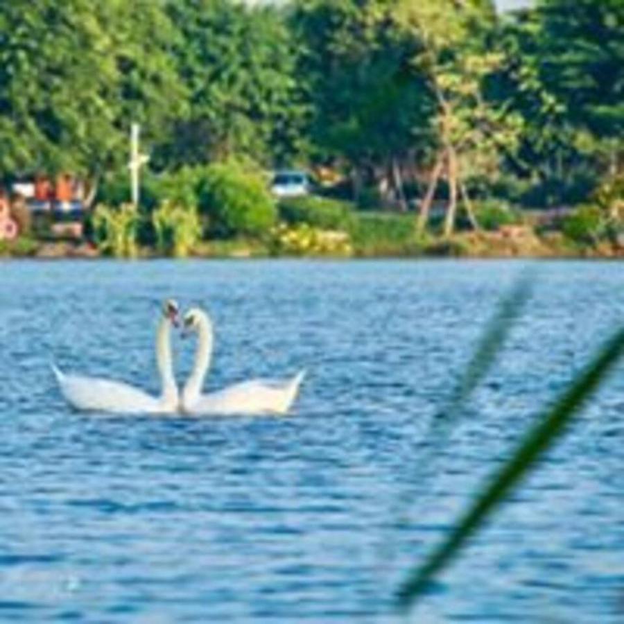 Sue Homestay Ecopark Hung Yen ภายนอก รูปภาพ
